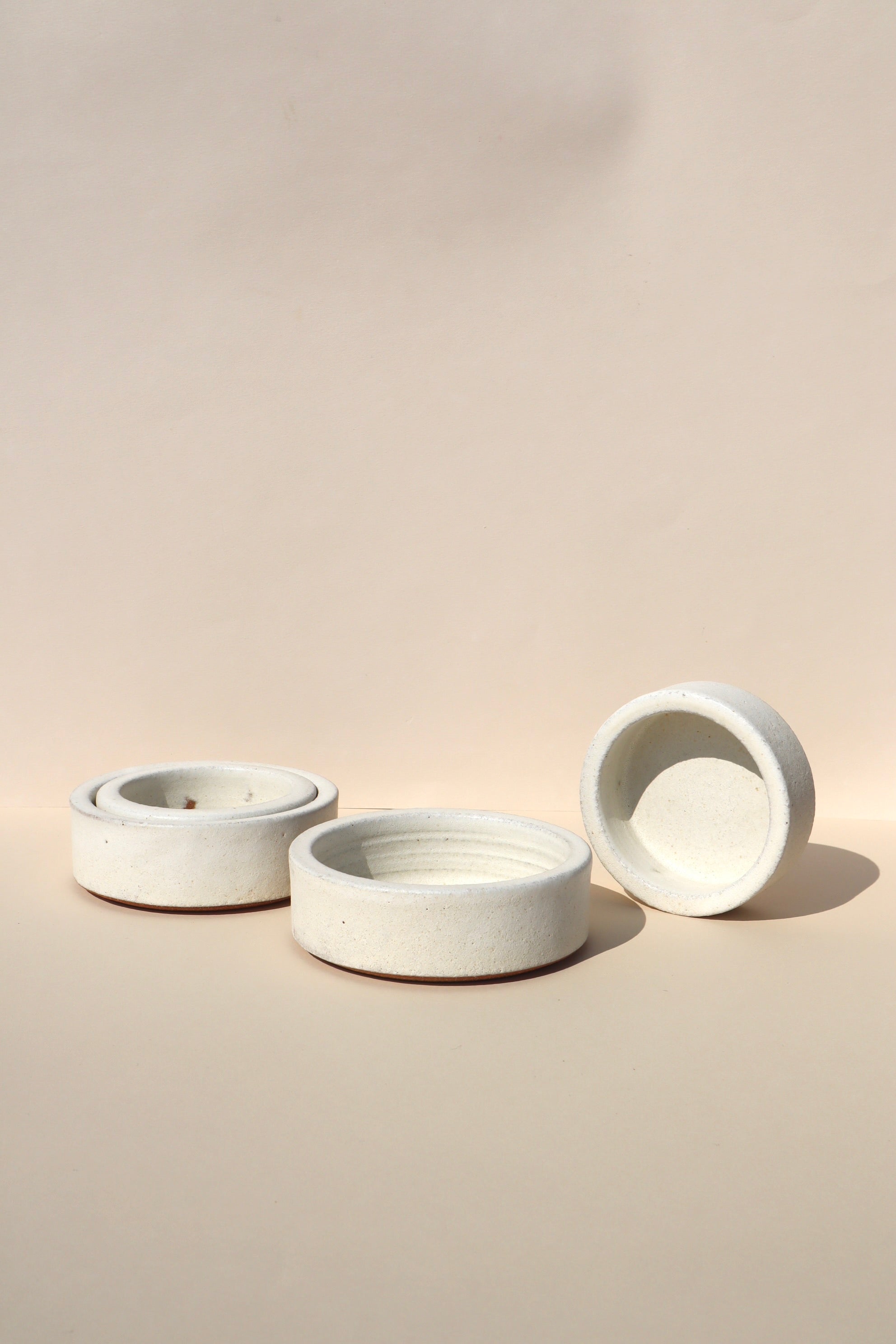 Duality Dish ~ Light
